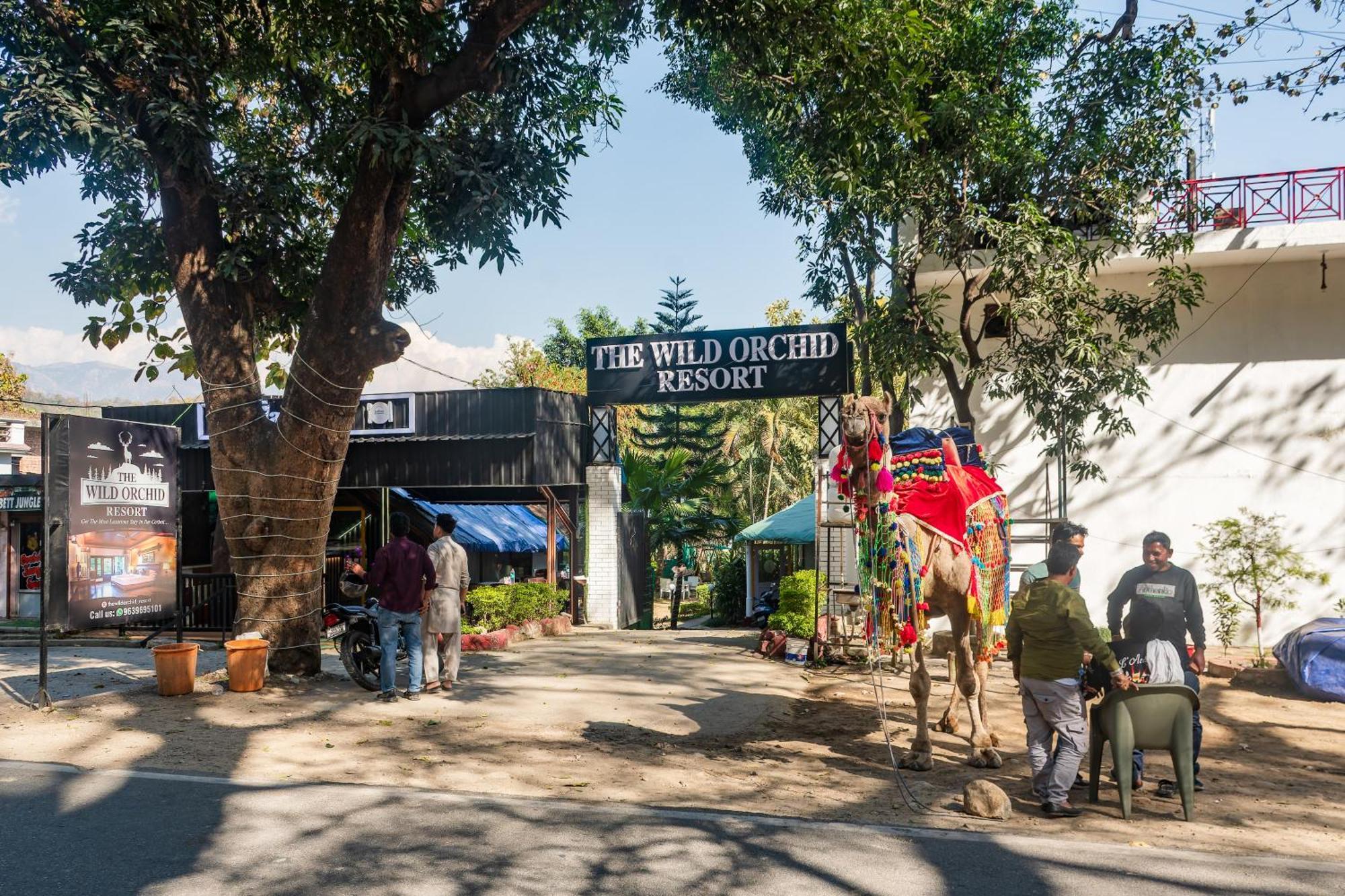 The Wild Orchid Resort Corbett Ramnagar Exterior foto